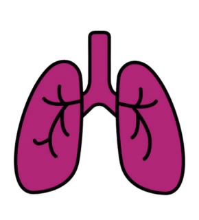 The Hub- Smoking icon