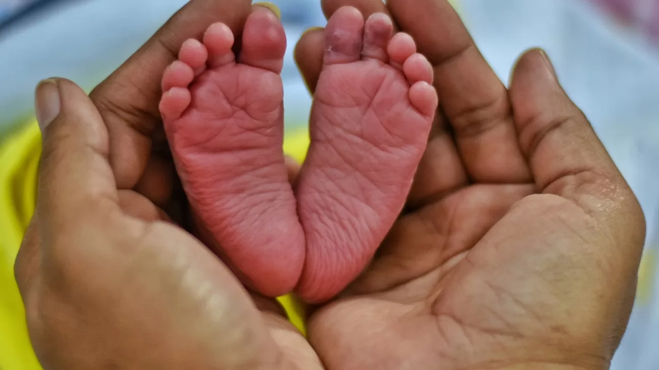A neonatal baby's feet being cradled by a parent.