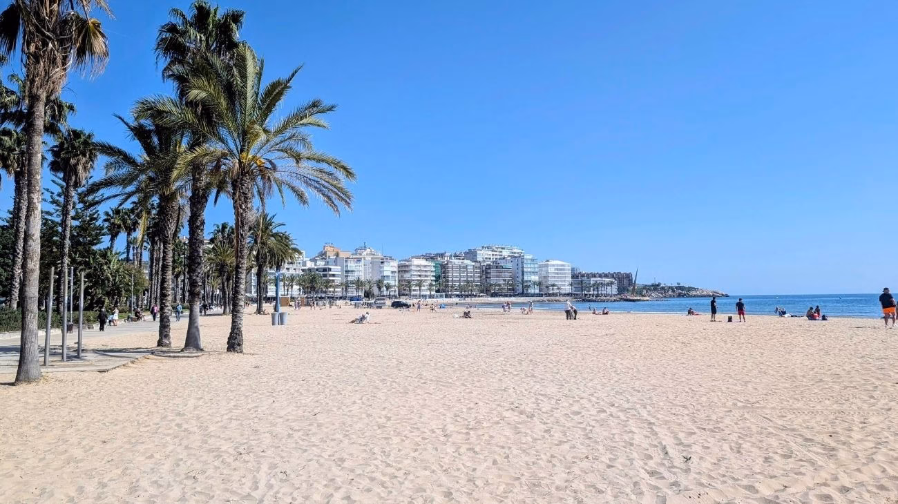 A sandy beach on a sunny day with palm trees and buildings in the distance.
