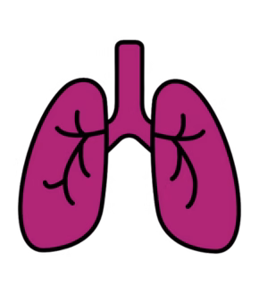 Cartoon of a pair of pink lings