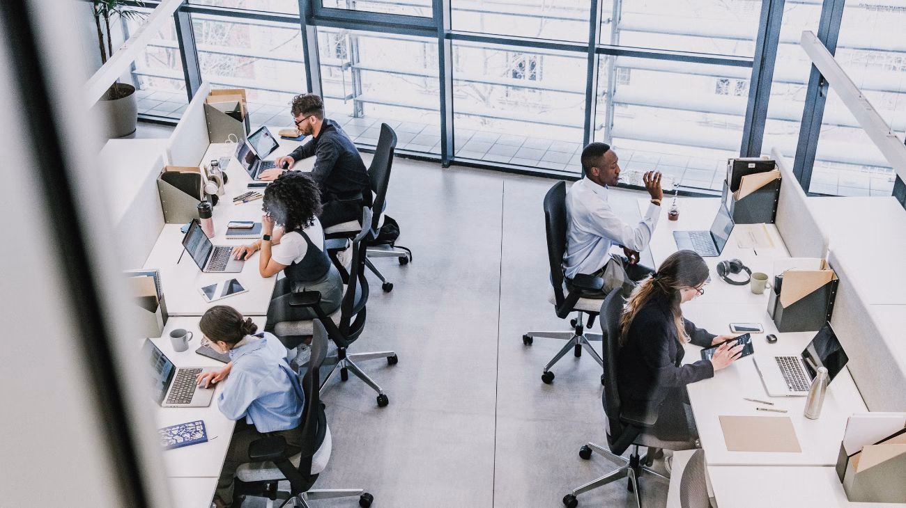 Aerial view of 5 people working in an office. Greater Manchester Workforce Transition Hub.