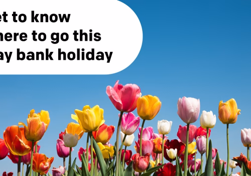 Image of a row of tulips, text reads get to know where to go this May bank holiday