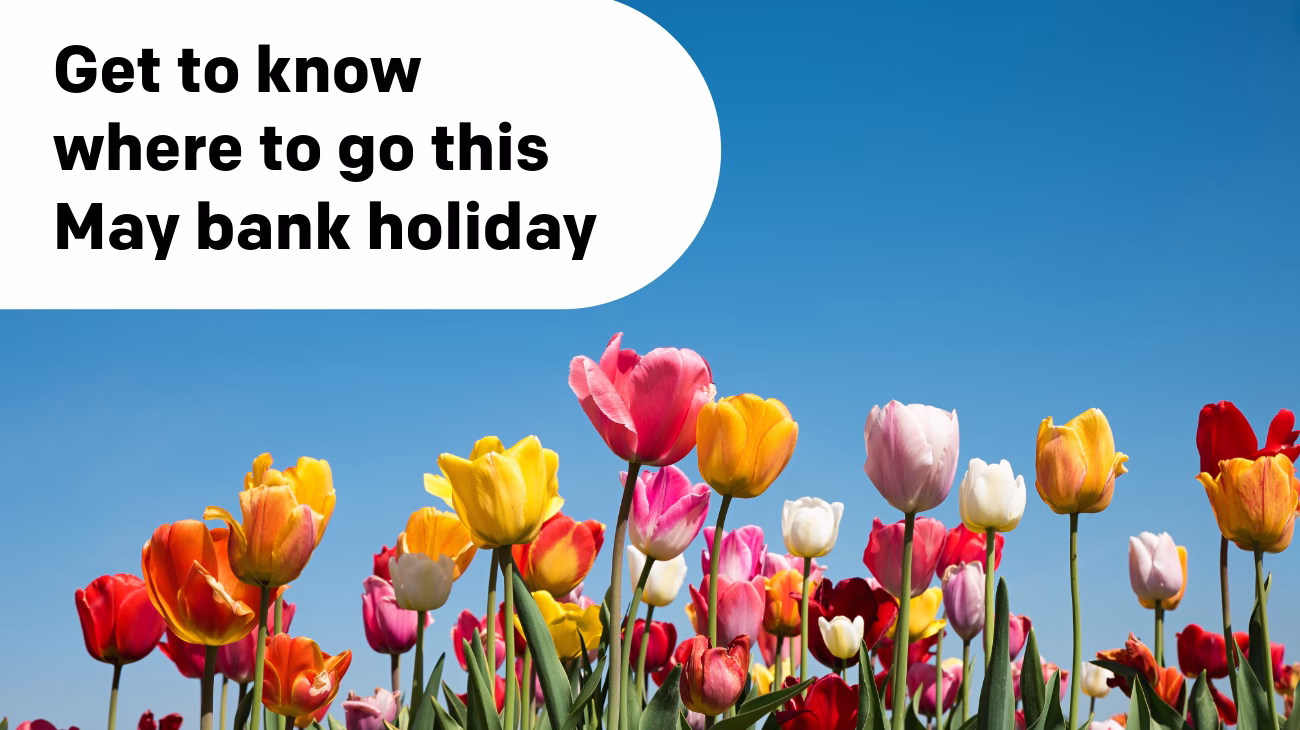 Image of a row of tulips, text reads get to know where to go this May bank holiday